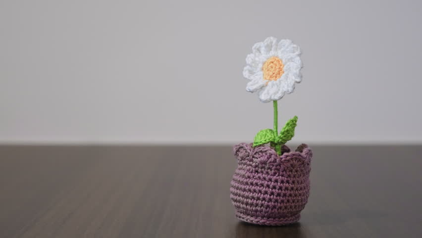 Handmade crochet daisy flower in purple pot