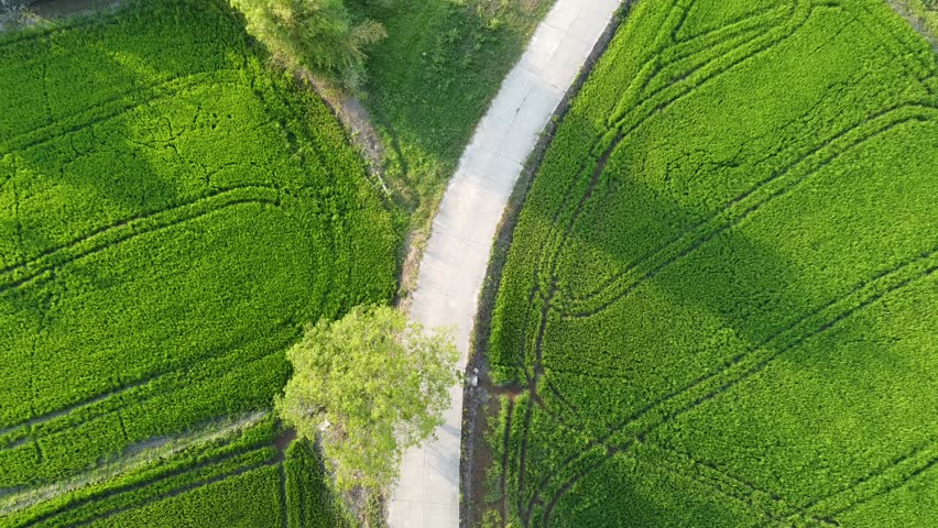 Aerial landscape in rural England United Kingdom featuring winding country road cutting through vibrant green agricultural fields beneath bright natural daylight