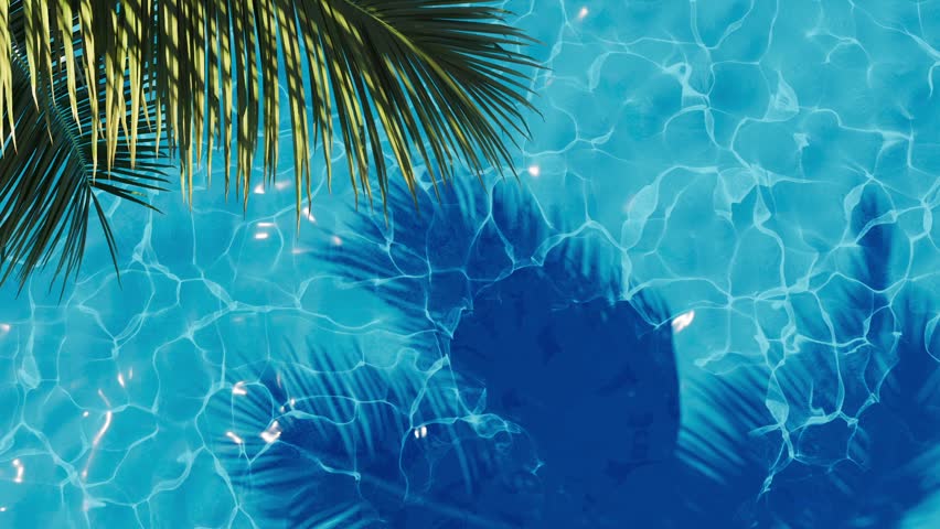 A tropical palm frond bent over the hotel pool water.
