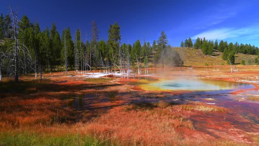 Abyss Pool West Thumb Geyser Basin shores of Yellowstone Lake Geothermal feature hot springs Yellowstone National Park Wyoming USA sunny morning blue sky remote vast landscape pan right motion