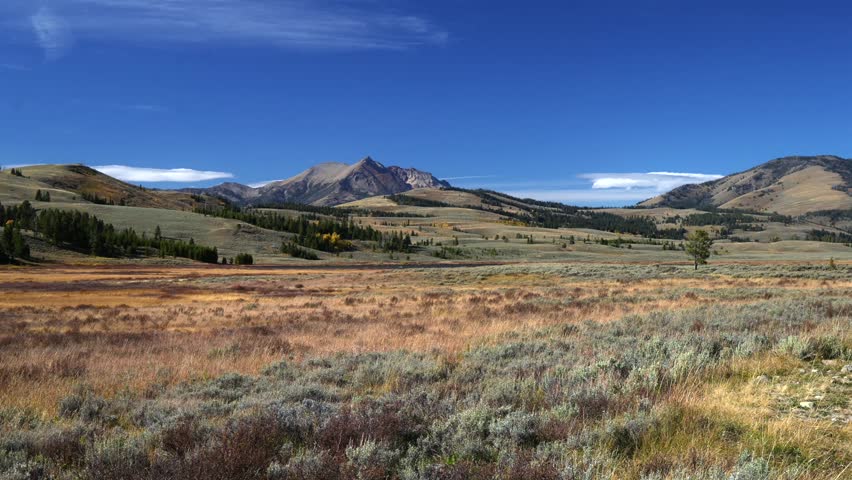 Yellowstone National Park open valley mountain plains nature landscape scenery Madison Norris Junction Wyoming Bighorn Pass Bunsen Peak Grizzly Lake Beaver Lake Fall Autumn sunny blue sky windy grass