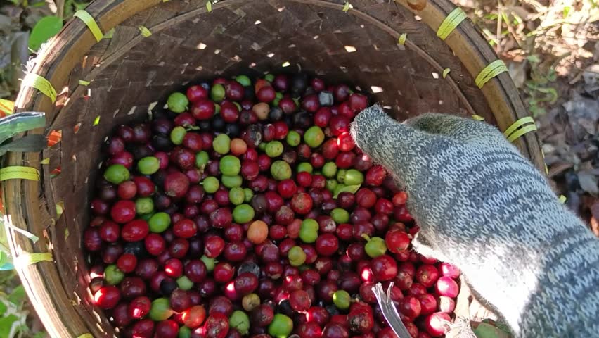 Close up shot of a worker