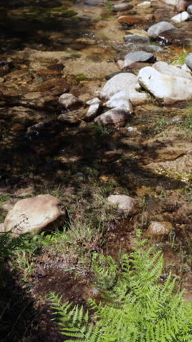 Scenic Mountain Stream in Sierra de Guadarrama