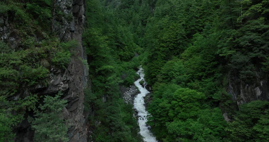 Aerial footage of beautiful forest and snow capped mountains	