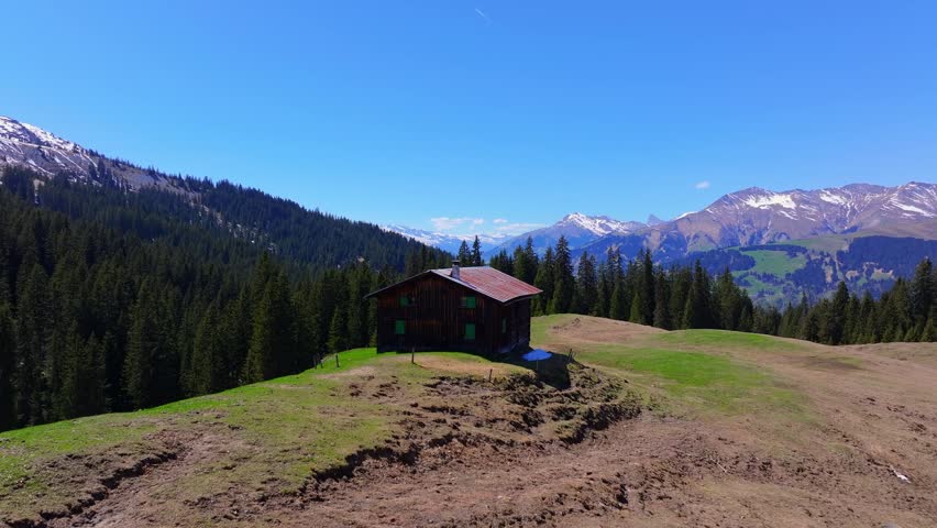 Aerial view of a wooden chalet on a grassy hill surrounded by dense pine forests and snow-capped mountains under a clear blue sky Grisons, Switzerland.