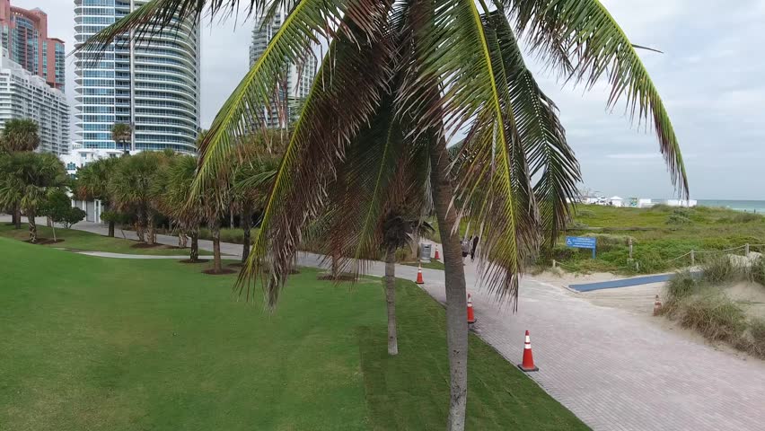 Aerial view of South Beach featuring palm trees, a green lawn, and modern high-rise buildings under a cloudy sky in Miami Beach, Florida, United States.