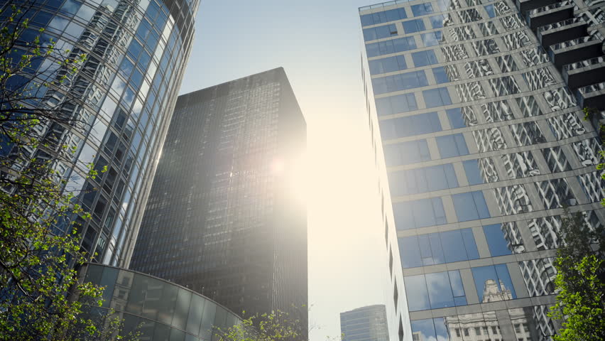 Sunlight shining through green trees branches beside modern glass skyscrapers in downtown city. Urban nature and architecture during bright summer day. Dolly movement