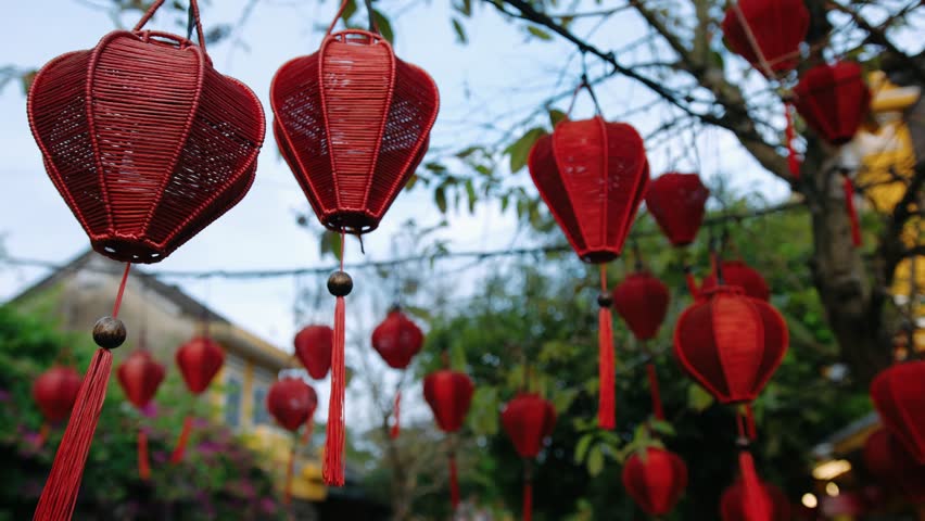 Red lanterns on a tree in the ancient town of hoi an, vietnam, gently moving in the breeze.