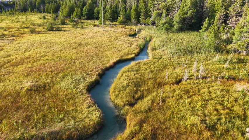 Aerial view of a natural landscape featuring a river flowing through grasslands with trees in Hessel, Michigan.