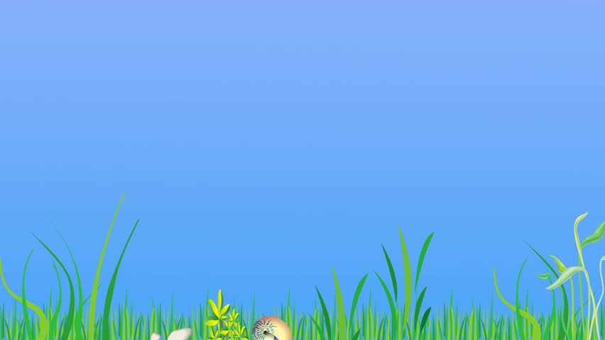 Shark swimming with colorful fish in the ocean animation