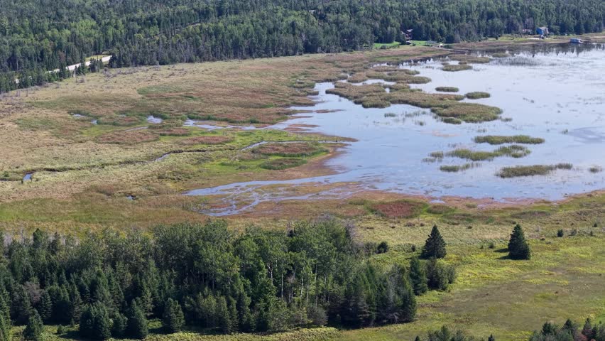 Aerial view of a forested area with numerous streams and bodies of water near Hessel, Michigan.