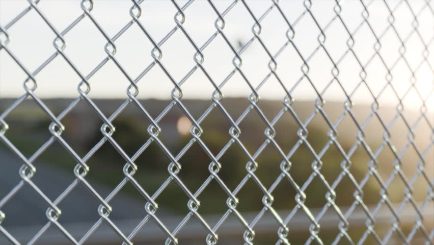 Focused Wire Mesh Fence with Flying Bird and Nature Background in 4K
