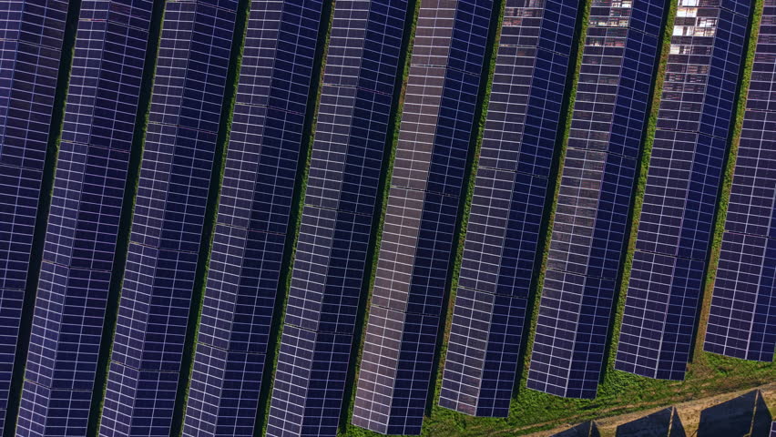 Rows of solar panels capture sunlight at a renewable energy facility. The setting is bright in daylight, allowing for efficient energy generation.
