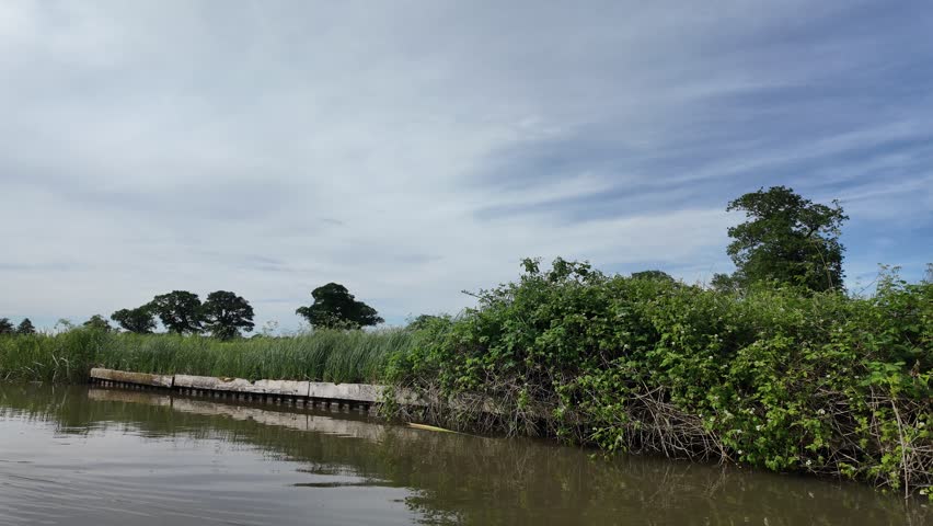 Looking to the side of a canal bank in England of grasses and aquatic plants while slowly cruising.