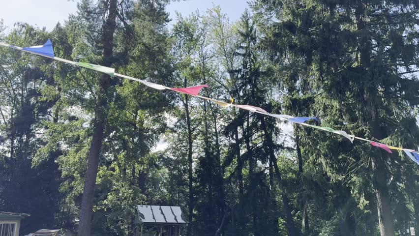Colorful flags marking the boundaries of a campsite flutter in the wind against a backdrop of pine trees. The scene captures a lively outdoor atmosphere in a natural forest environment.