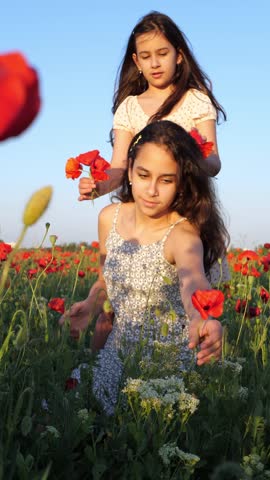 Two girls in a poppy field, one braiding the other