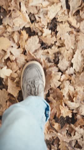 POV walking through dry oak leaves in autumn, capturing the seasonal atmosphere, natural textures and peaceful outdoor experience in a fall landscape