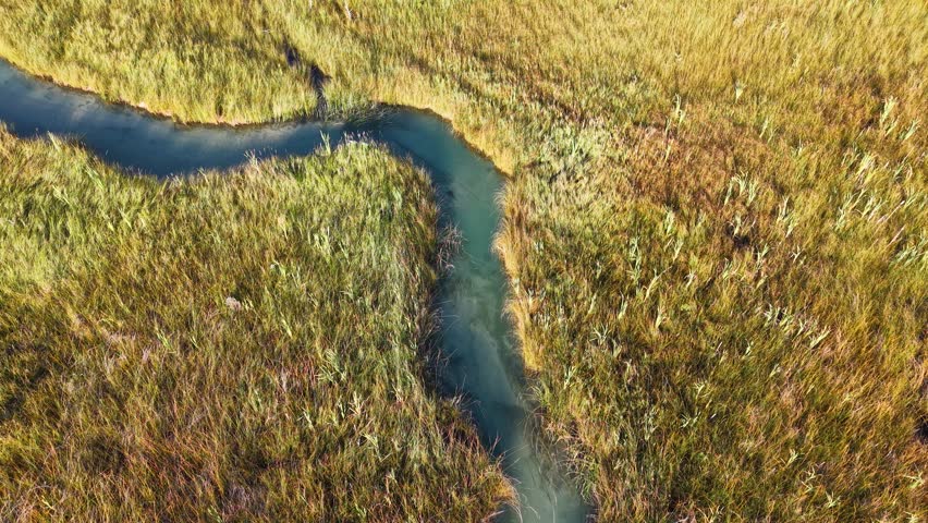 Aerial drone footage of serene wilderness streams in Hessel, Michigan near Lake Huron.