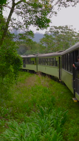 Aerial view of a passenger train surrounded by a dense jungle in brazil
