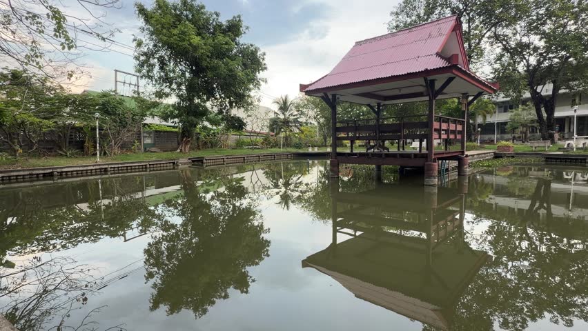A serene pond in the backyard of the house. 