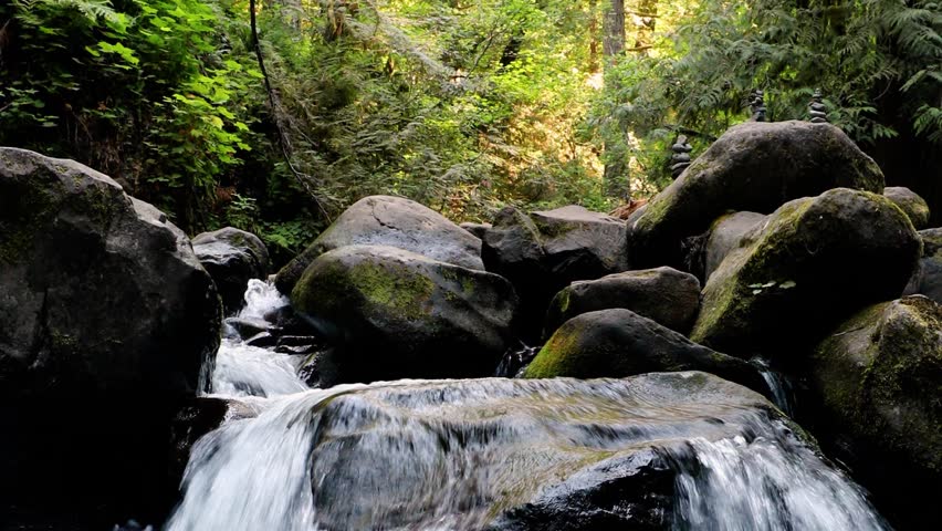 Little waterfall in the forest in Oregon.