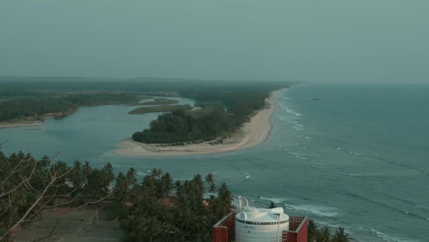 Ocean behind the trees on a breezy day