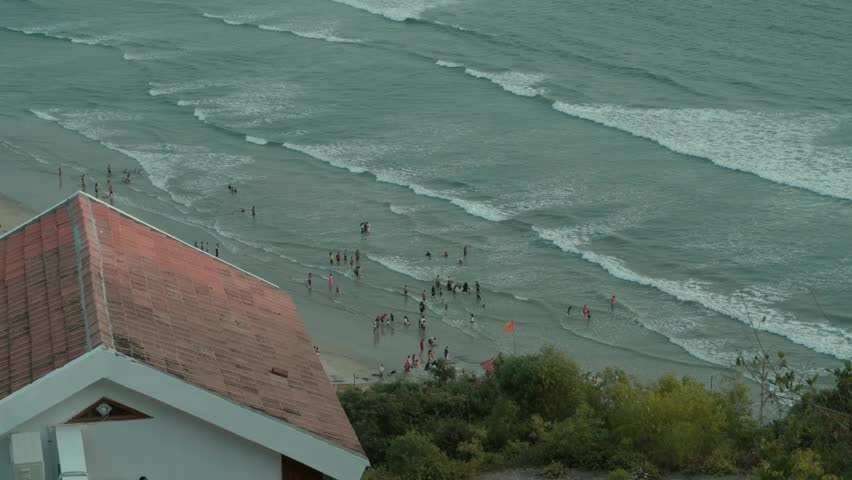 Ocean behind the trees on a breezy day