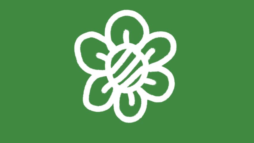 White nature flower blossom cartoon graphic with chalk outline spring floral icon isolated on green screen background for eco-friendly biodiversity symbol and botanical growth element concept.