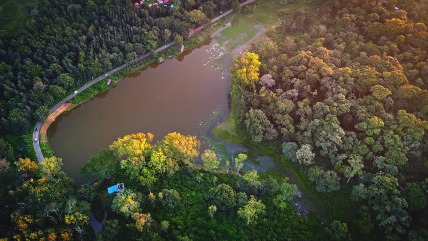 Aerial landscape of the lush green BR Hills near Bangalore, featuring dense forests, rolling hills, and serene water bodies.