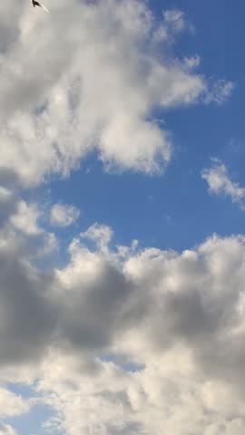 A scenic cloudscape features clouds drifting across a bright blue sky.  Calm nature beauty.