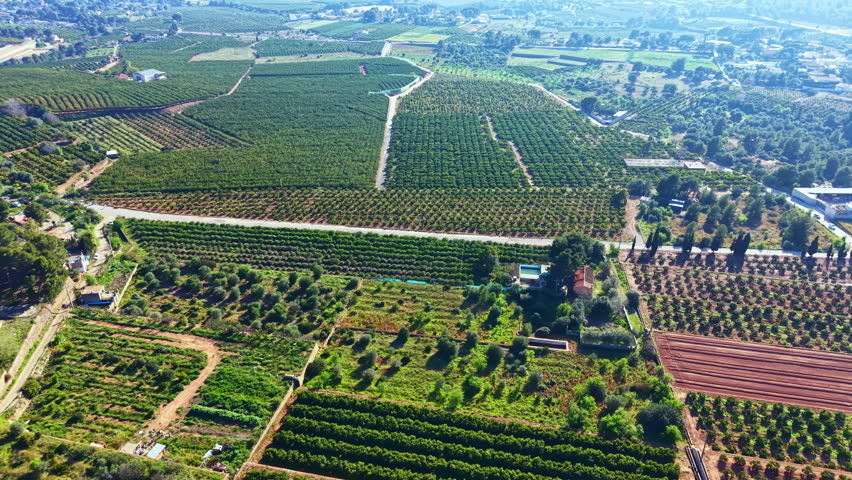 Green fields and orchards fill the land in a rural area. Trees and plants grow in neat rows under a clear sky. Dirt roads slice through the landscape, connecting different sections.