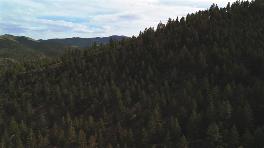 Drone View Over Pine Forest Hillside Near Helena Montana