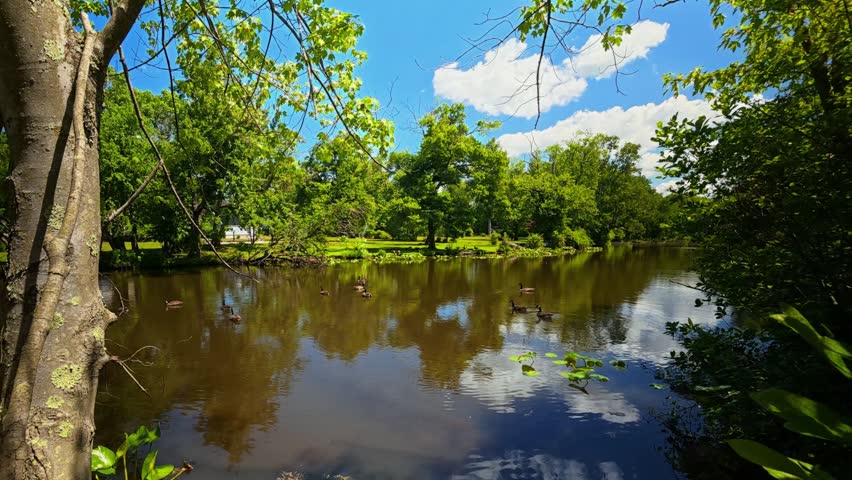 2026.06.01. Mill Pond Park, Plainsboro, NJ, USA