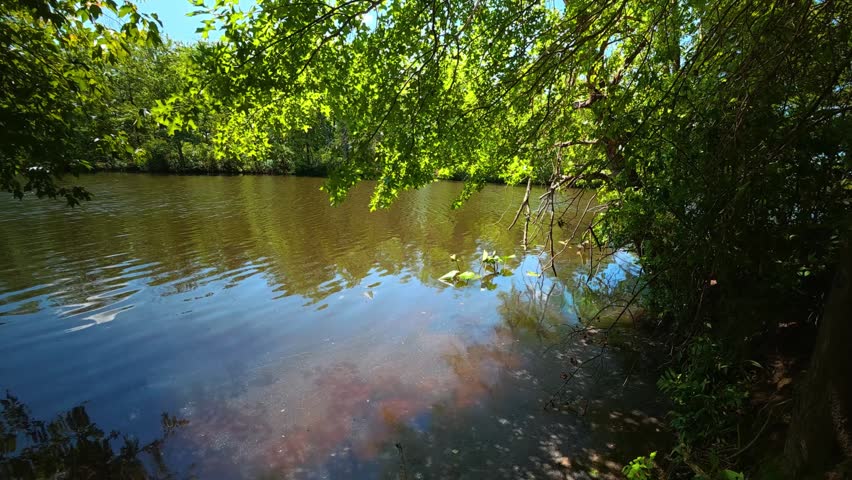2026.06.01. Mill Pond Park, Plainsboro, NJ, USA