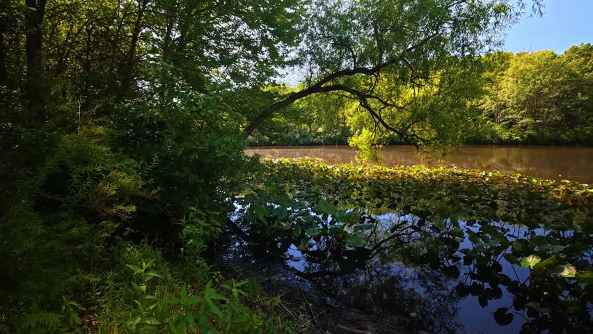 2026.06.01. Mill Pond Park, Plainsboro, NJ, USA