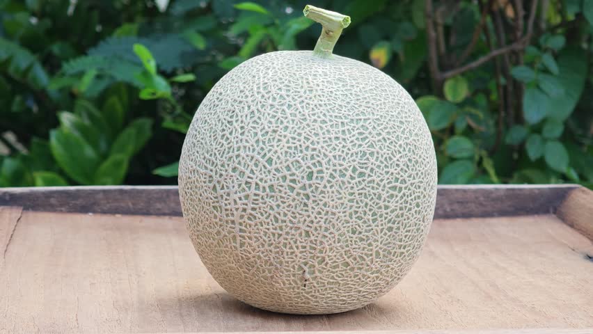 Melon on a wooden plate.