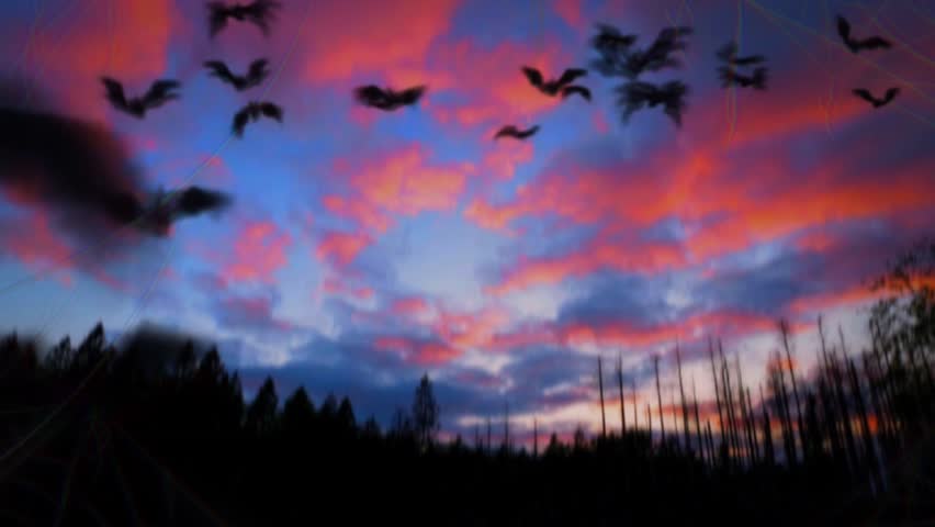 A dramatic scene at dusk or dawn (twilight). The sky is adorned with a mixture of contrasting colors, from deep dark blue to clouds that glow with bright reds and oranges due to the reflection of sunlight.