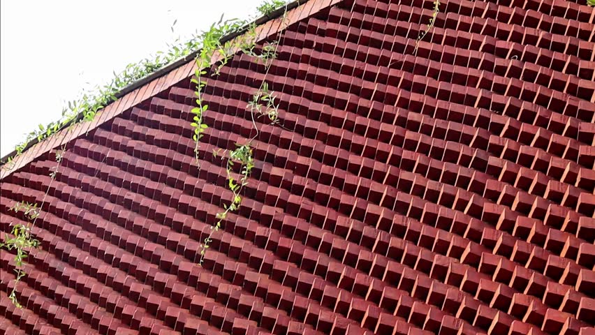 Red brick wall and some green near it. architectural texture. 