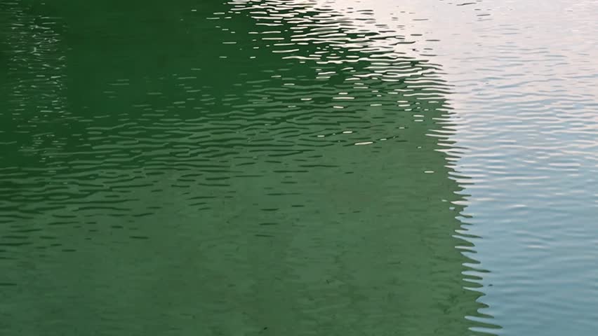 Green pond water surface. reflection of a building.