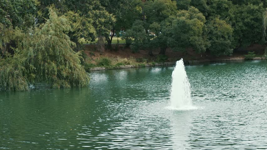 Fountain on calm lake surrounded by lush city park creates a scenic landscape with reflections on the water and dense trees along the shoreline