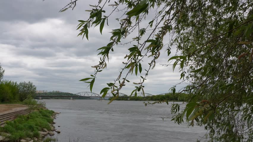 Vistula River view in Grudziadz, Poland, featuring the historic bridge under a cloudy sky, framed by green tree branches