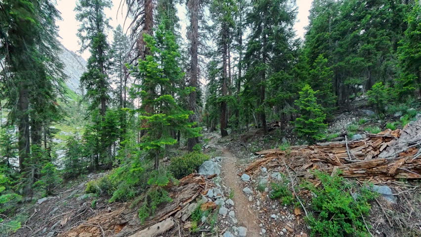 Hiking Down Empty Bubbs Creek Trail In Kings Canyon National Park