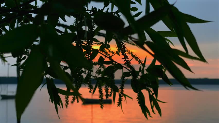 A vibrant orange sunset glows over a calm lake, beautifully framed by dark tree branches and hanging leaves with a silhouette of a boat