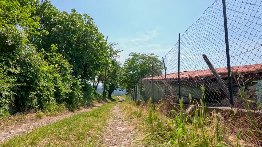 A low-angle camera moves forward along a dirt path between lush trees and wire fences