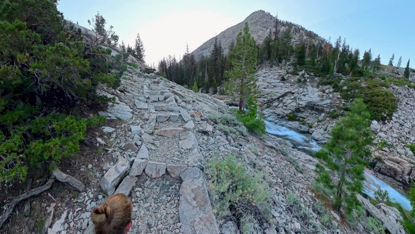 Overhead of Woman Hiking North on the Pacific Crest Trail in the Sierras in Kings Canyon National Park