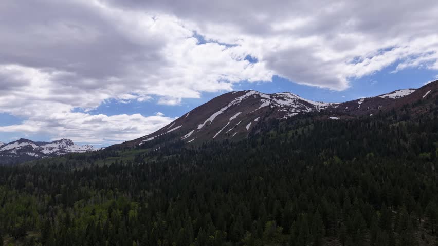 Aerial drone footage flying forward over a vast pine forest towards snow-capped mountains in Hope Valley, California, under a dramatic cloudy sky revealing patches of blue