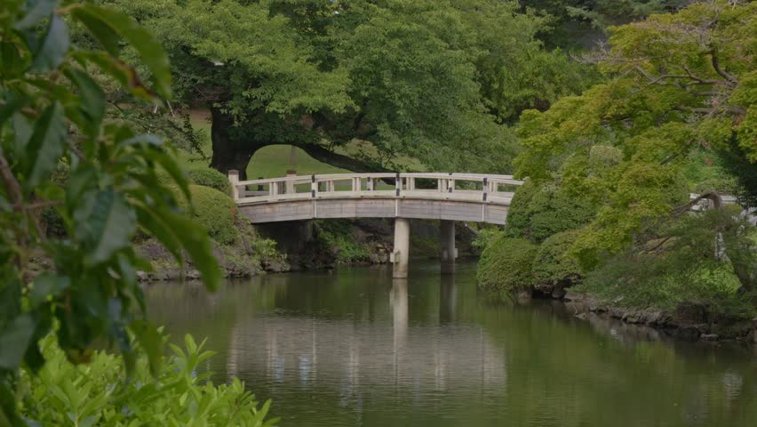 Bridge Over A Tranquil Pond At Shinjuku Gyoen National Garden In Tokyo, Japan. - wide shot