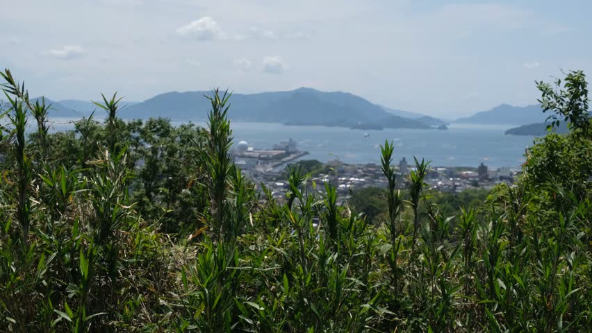 Swaying Tree Leaves in Foreground with Mountain, Sea and Town View