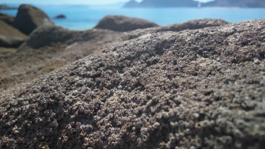 Smooth rocks create a unique landscape along the sunlit shore, where gentle waves glide against the land. Hidden gems of nature await exploration in this coastal haven.