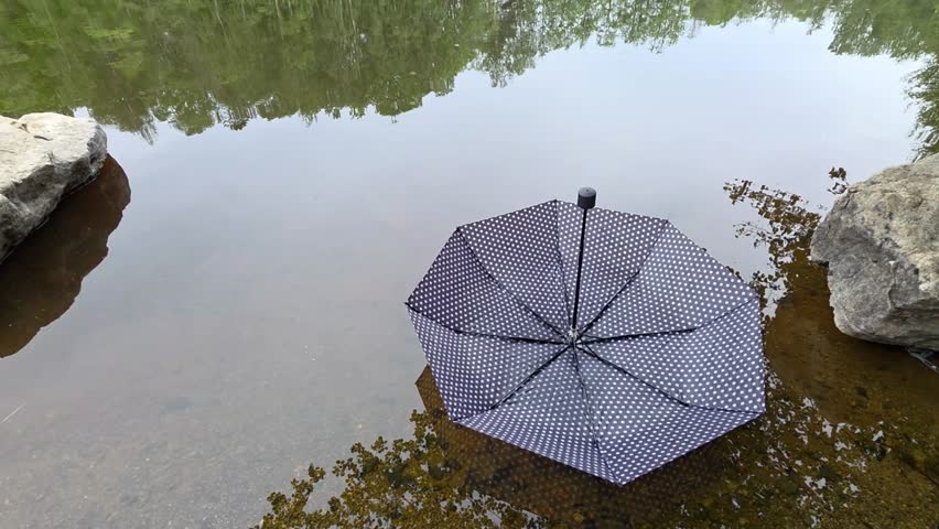 Open umbrella resting by a calm lakeshore with still water and green trees in the background. Peaceful outdoor scene with a quiet nature atmosphere.